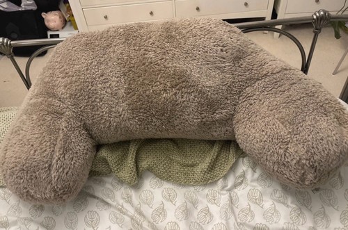 Dunelm reading pillow - reading,